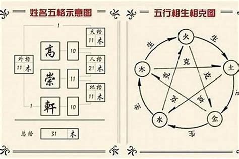 馬的五行|生肖姓名學－生肖屬馬特性、喜忌及喜用字庫－芷蘭老師~卜卦、。